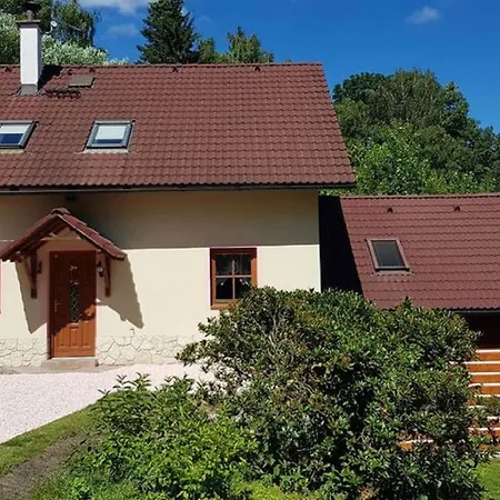 Elite In Near Ski Area Villa Turnov