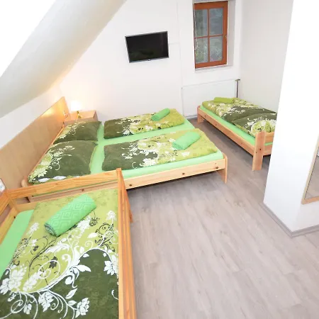 Elite In Near Ski Area Villa